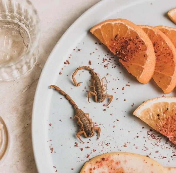 Verre de mezcal accompagné d'un plateau d'oranges, de piment moulu et de scorpions, offrant une expérience sensorielle unique et représentant les saveurs et les traditions du Mexique