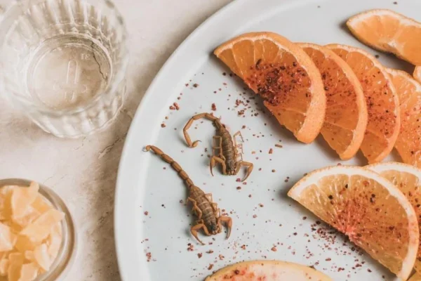 Verre de mezcal accompagné d'un plateau d'oranges, de piment moulu et de scorpions, offrant une expérience sensorielle unique et représentant les saveurs et les traditions du Mexique