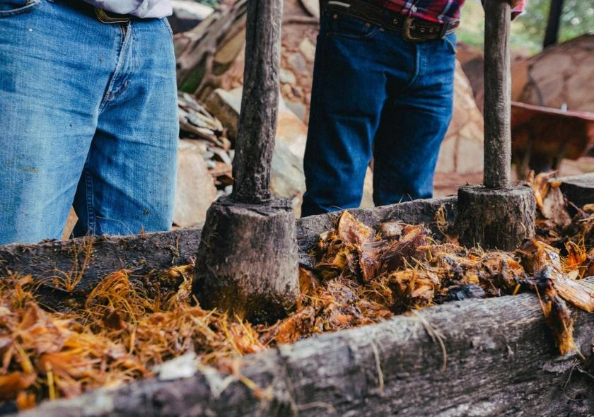 Écrasement de l'agave pour préparer le mezcal, démontrant le processus artisanal et traditionnel de fabrication de cette boisson emblématique du Mexique