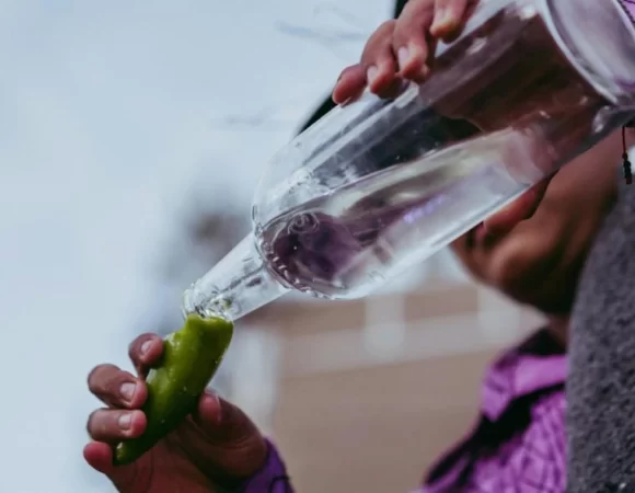 Bouteille de mezcal étant versée dans un verre en agave, mettant en valeur l'authenticité et le lien avec la tradition de cette boisson mexicaine