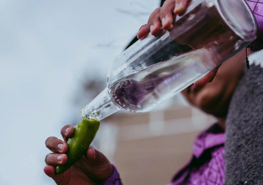 Bouteille de mezcal étant versée dans un verre en agave, mettant en valeur l'authenticité et le lien avec la tradition de cette boisson mexicaine
