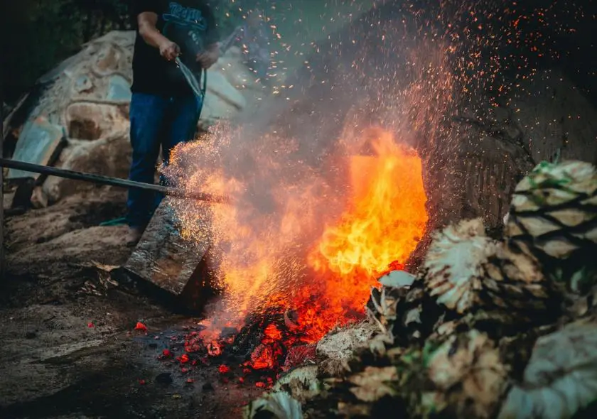 Cuisson de l'agave dans les fours en terre pour la création du mezcal, mettant en lumière la méthode traditionnelle et artisanale de production de cette boisson emblématique du Mexique