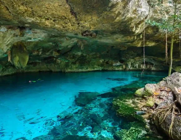 À la découverte des cenotes secrets