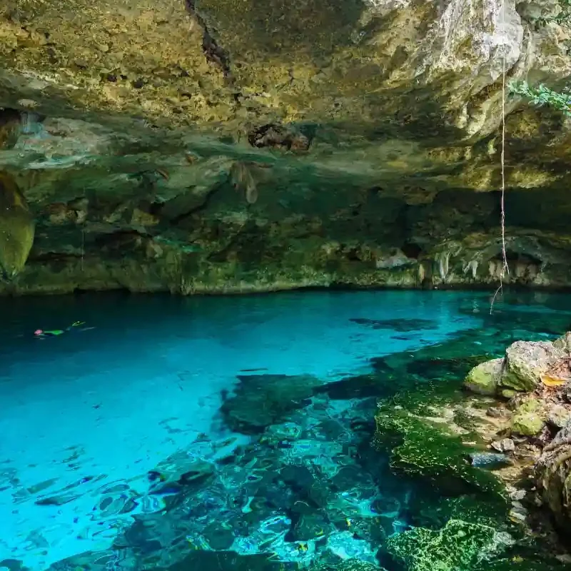 À la découverte des cenotes secrets