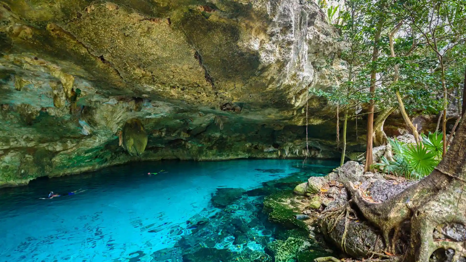À la découverte des cenotes secrets