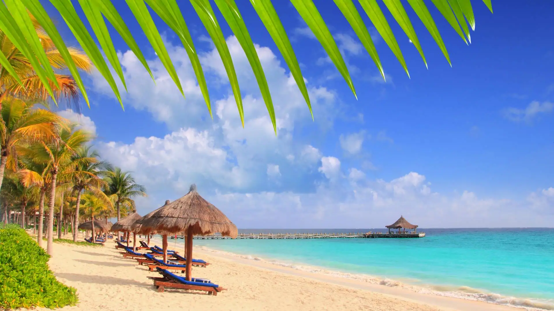 Plage des Caraïbes dans le Quintana Roo