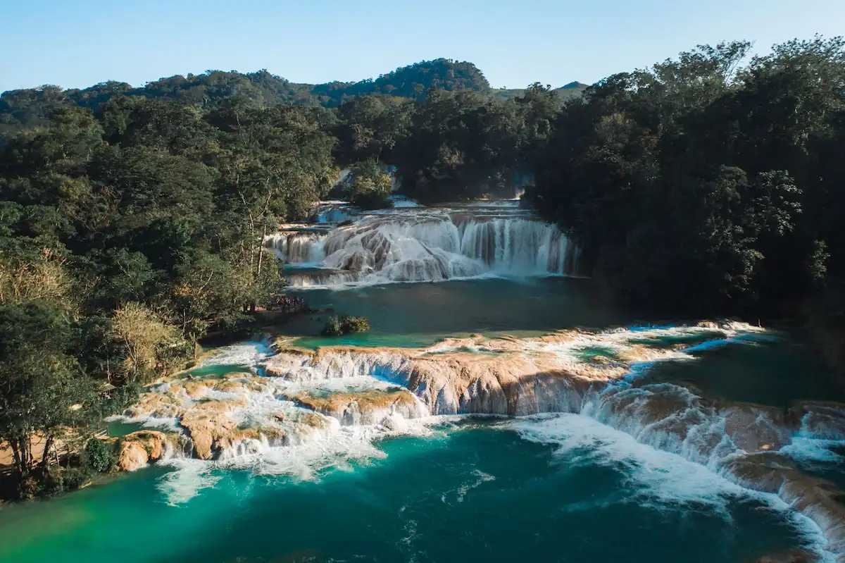 Grand panorama sur les cascades et les bassins turquoise d'Agua Azul au milieu d'une forêt dense.