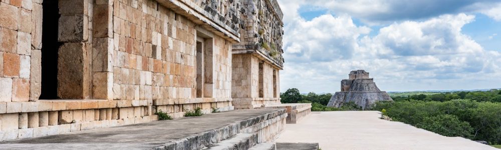 pexels-mike-van-schoonderwalt-1884800-5484585 (1)